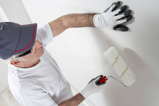 Best Mold Prevention Services  in Crothersville, IN