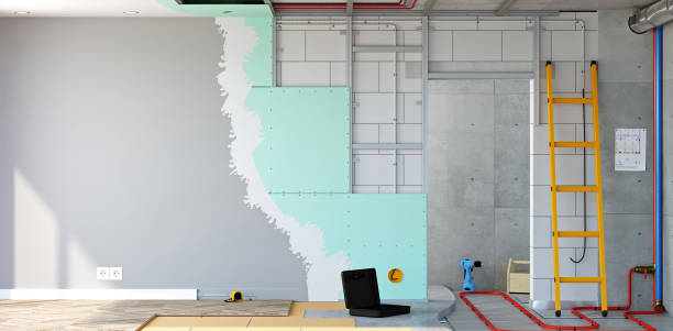 Best Forensic Mold Investigation  in Crothersville, IN