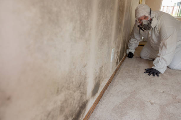  Crothersville, IN Mold Removal Pros