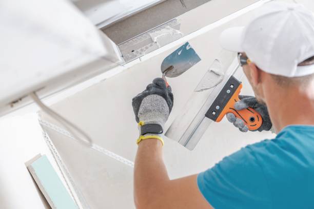 Best Mold Removal for HVAC Installations  in Crothersville, IN